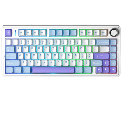 Custom Mechanical Keyboard Gasket Structure Hot-Swappable RGB Backlight