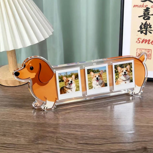 Cute Animal Photo Frame