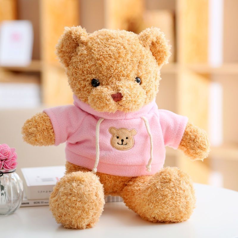 Cute Dressed Plush Teddy Bear Doll, Soft Stuffed Animal Toy for Gift (Multiple Styles & Sizes)