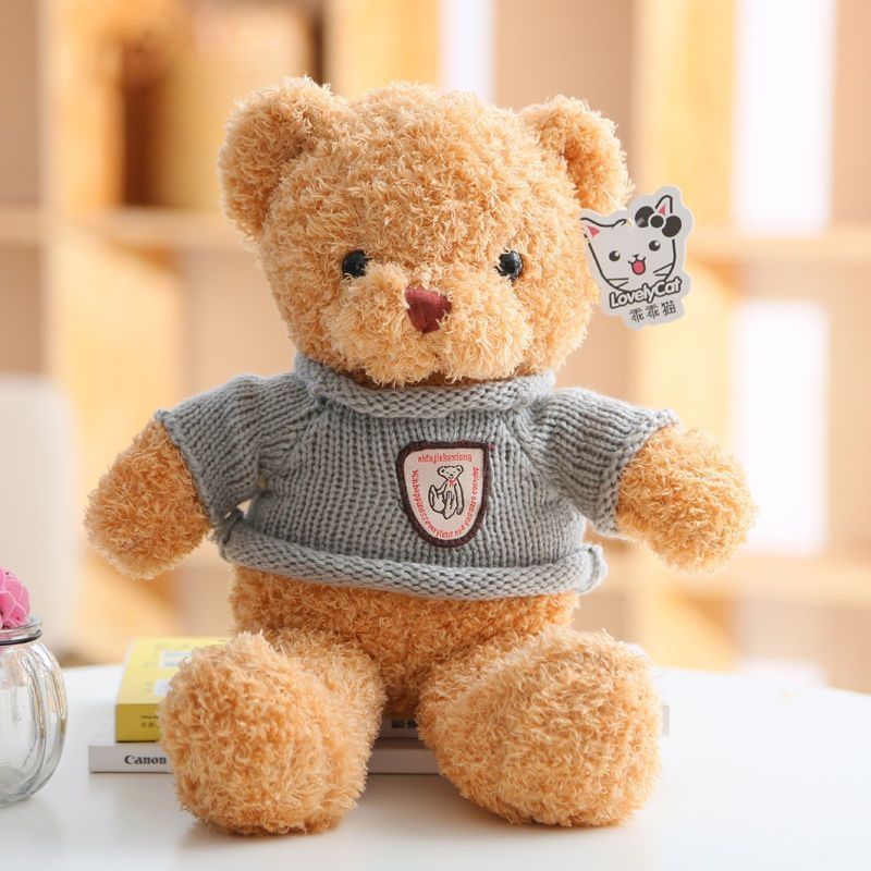 Cute Dressed Plush Teddy Bear Doll, Soft Stuffed Animal Toy for Gift (Multiple Styles & Sizes)