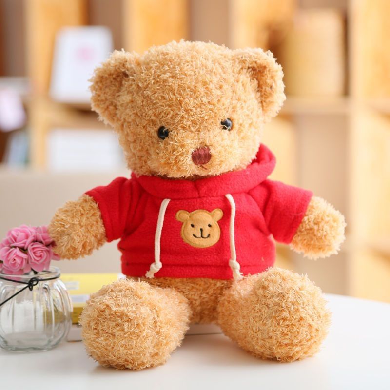 Cute Dressed Plush Teddy Bear Doll, Soft Stuffed Animal Toy for Gift (Multiple Styles & Sizes)