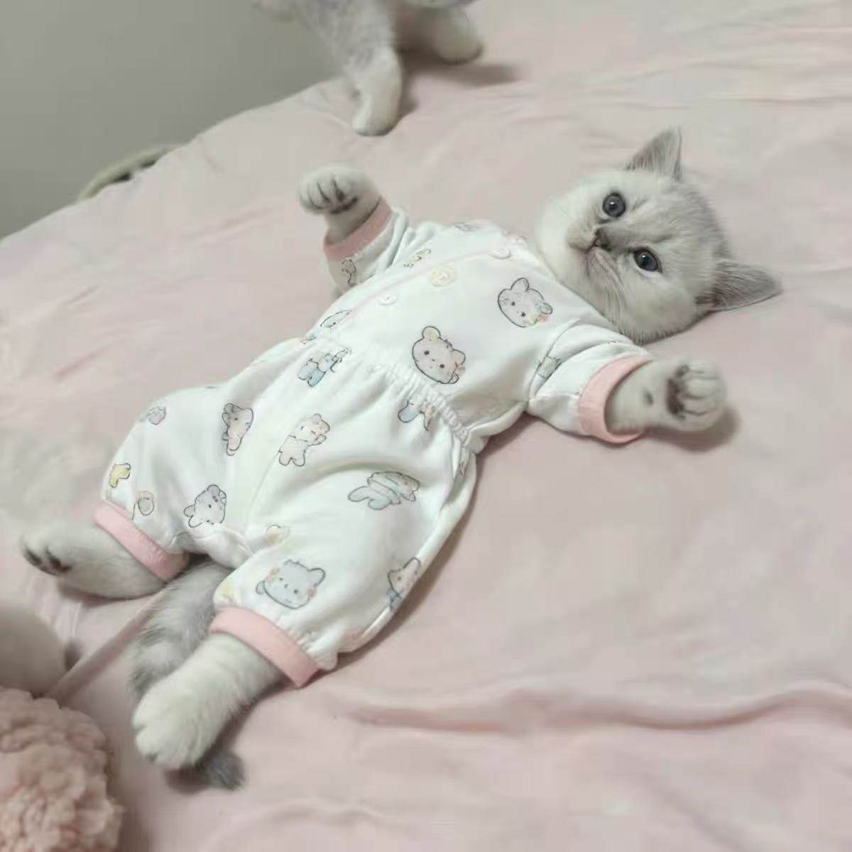 Cute Kitty Pet Pajamas