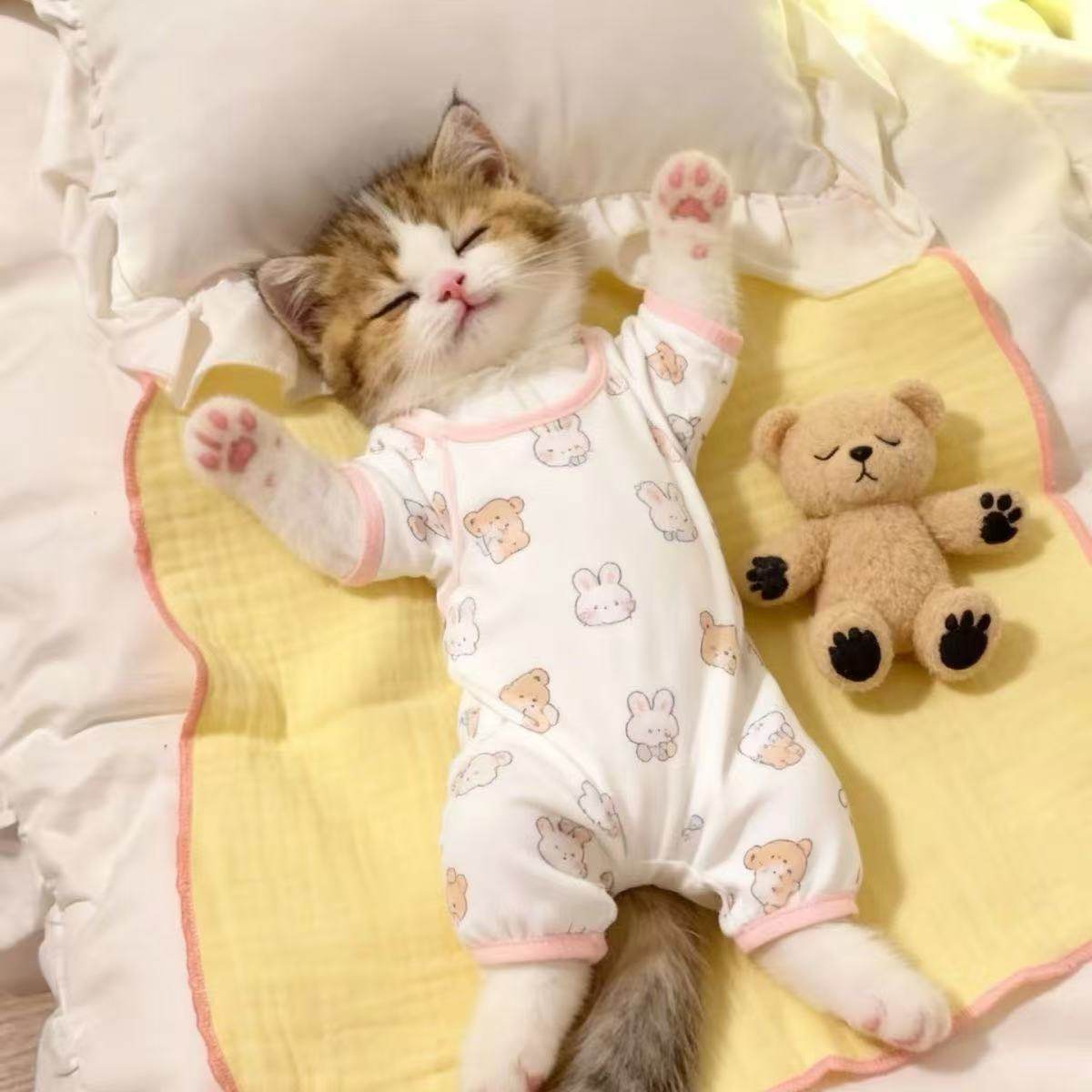 Cute Kitty Pet Pajamas
