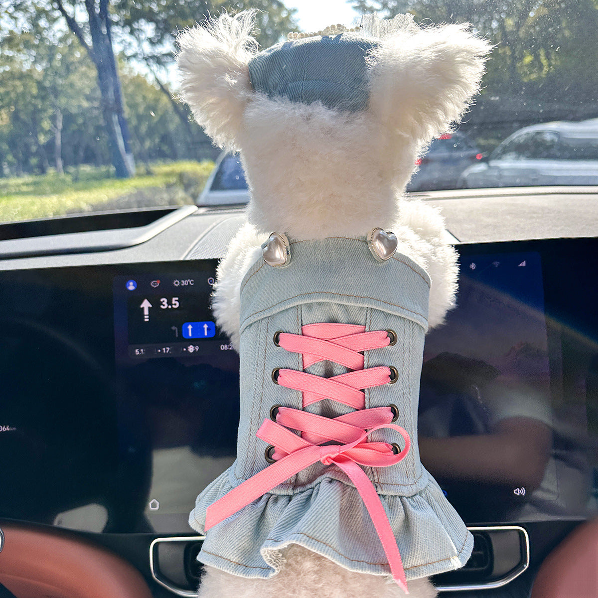 Cute Pet Denim Skirt for Small Dogs
