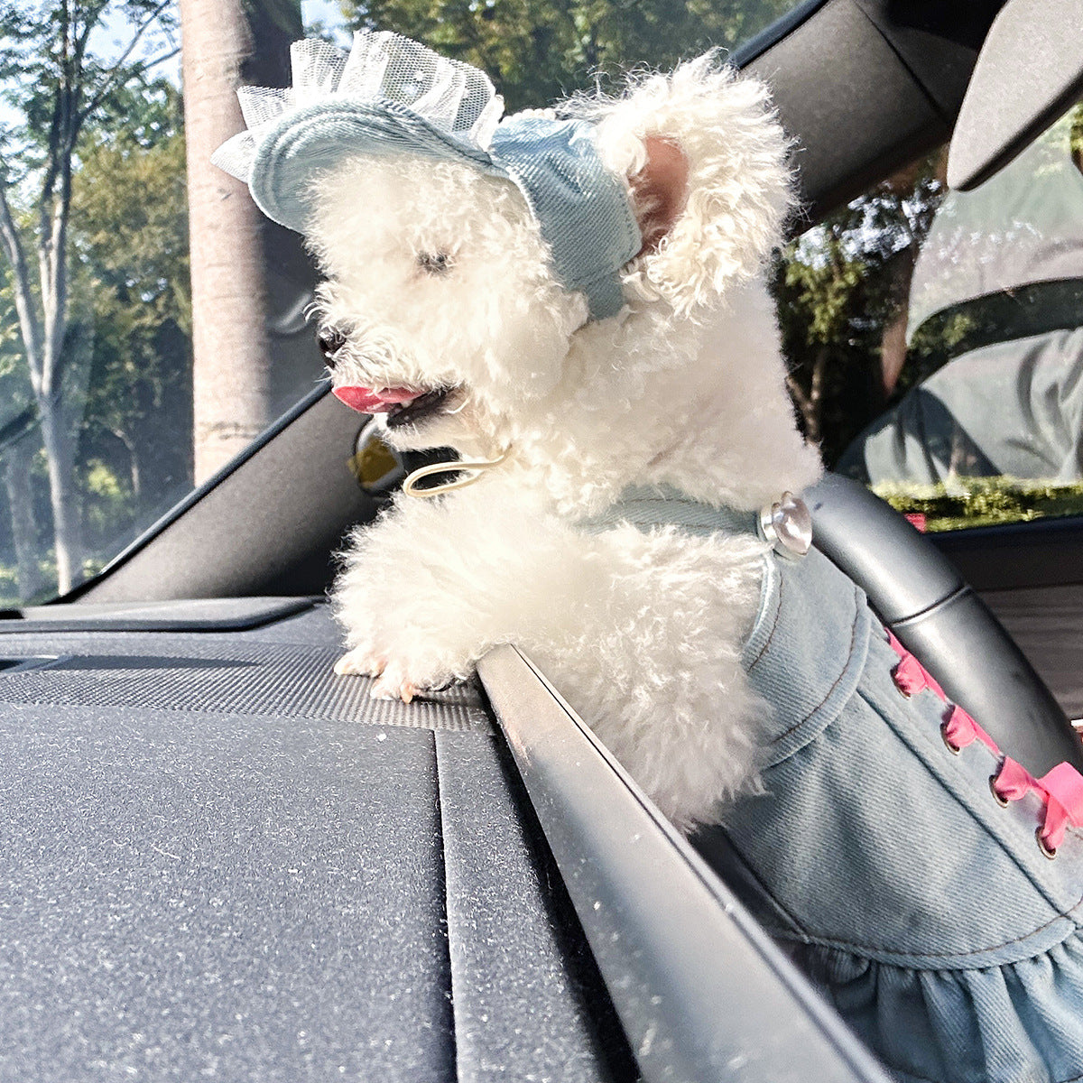 Cute Pet Denim Skirt for Small Dogs