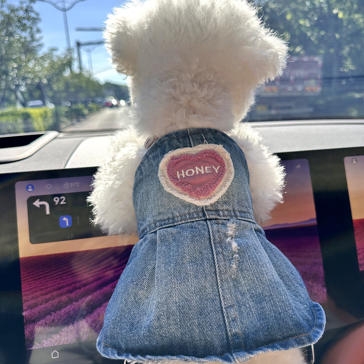 Cute Pet Denim Skirt for Small Dogs