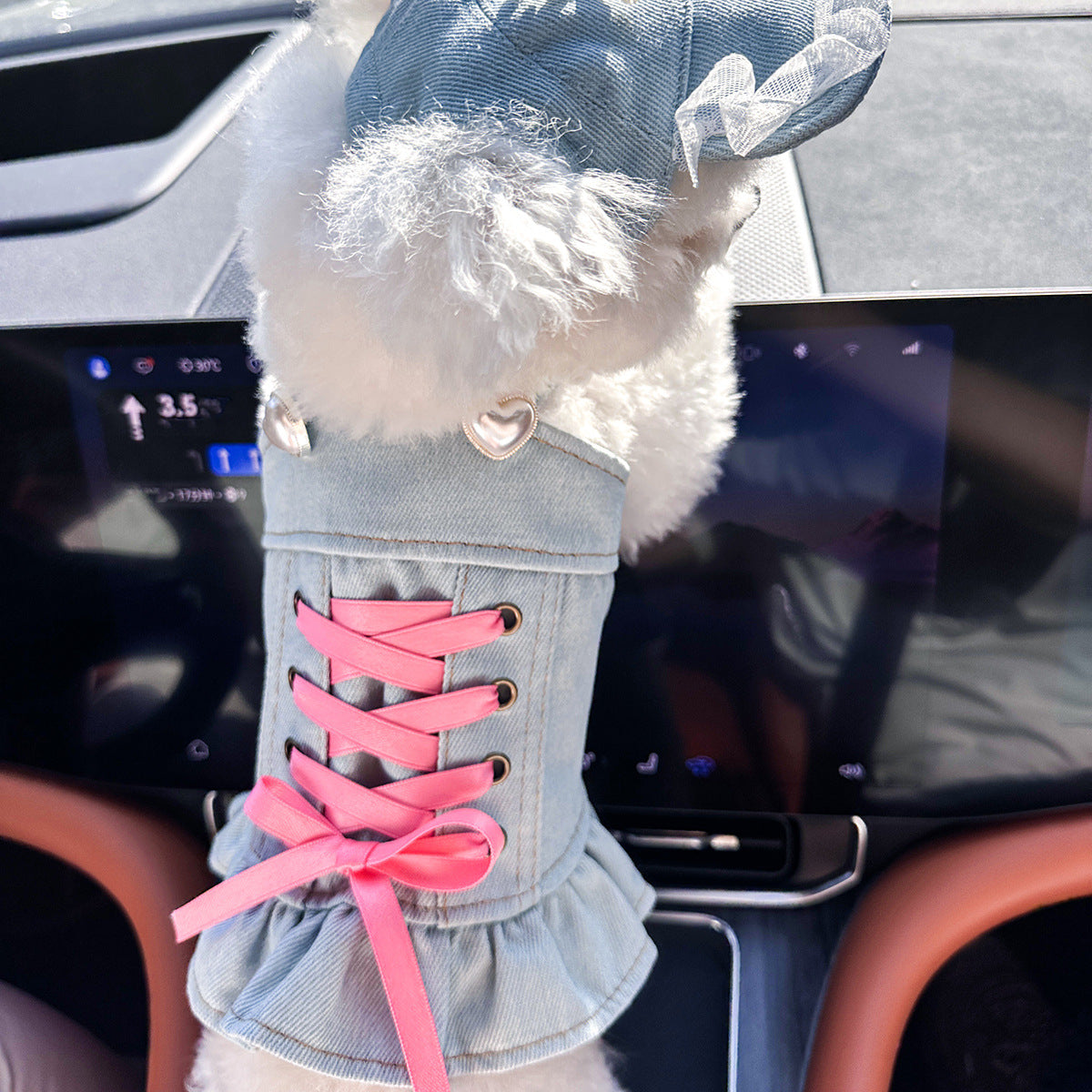 Cute Pet Denim Skirt for Small Dogs
