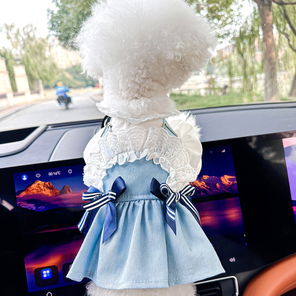 Cute Pet Denim Skirt for Small Dogs