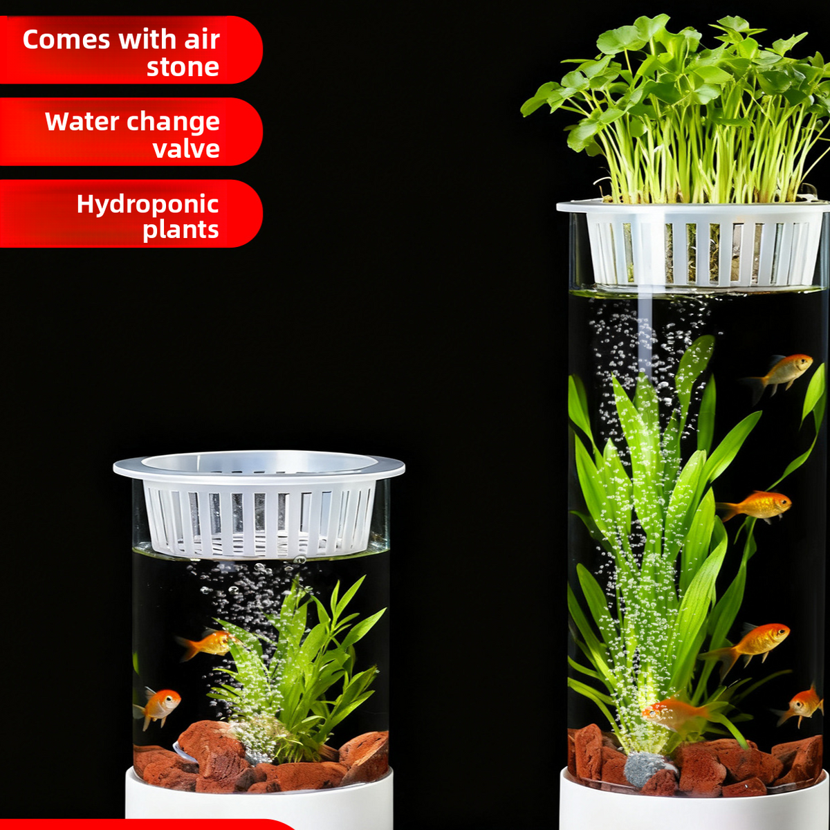 Cylindrical Glass Aquarium Tank with Light and Oxygen System