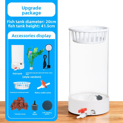 Cylindrical Glass Aquarium Tank with Light and Oxygen System
