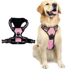 Pink separate chest and back