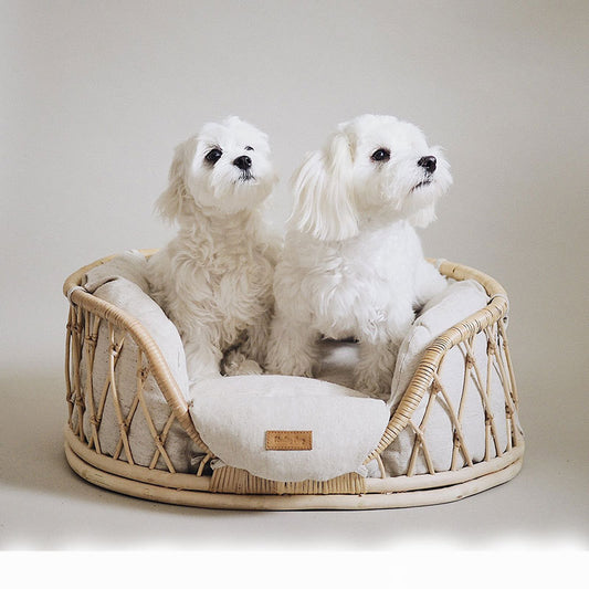 Buy Handmade Rattan Pet Bed – Cozy Sofa for Small & Medium Dogs
