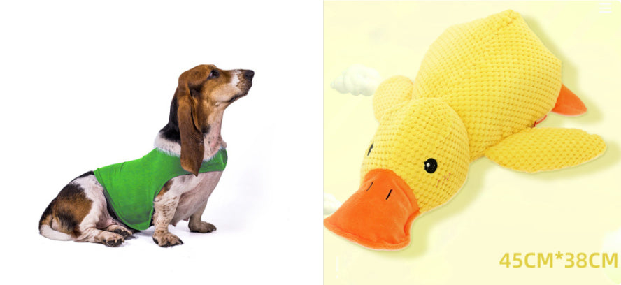 Buy Anxiety Jacket Vest for Dogs & Cats | Calming Comfort Wear