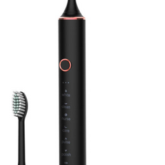 N100 black dry battery 2 brush