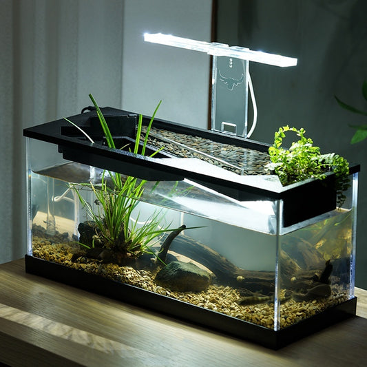Acrylic Filter Lazy Aquarium – Heating & Lighting Integrated