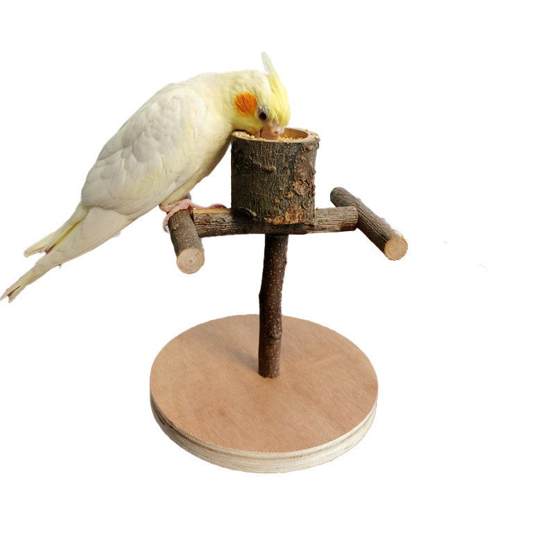 Parrot Training Station Frame – Solid Wood Bird Shelf & Toys
