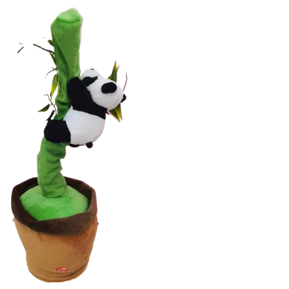 dancing cactus