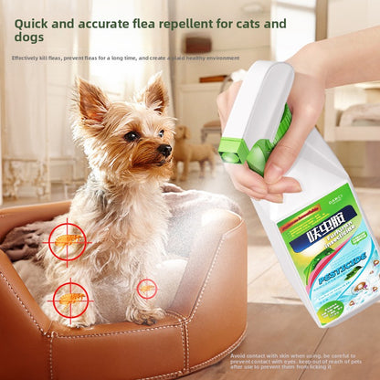 Darci Particide Insecticide for Fleas Cockroaches Ants Bedbugs