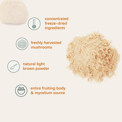 Organic Lion’s Mane Mushroom Powder – Natural Health Boost