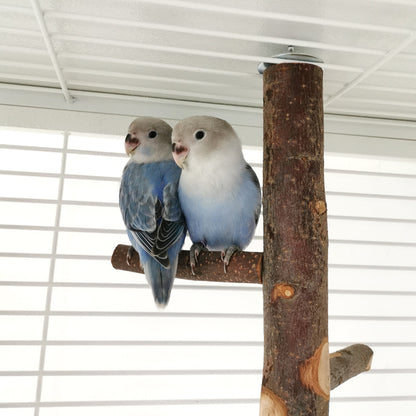 Buy Wooden Parrot Stand Pole Toy for Birds Cage Play and Rest
