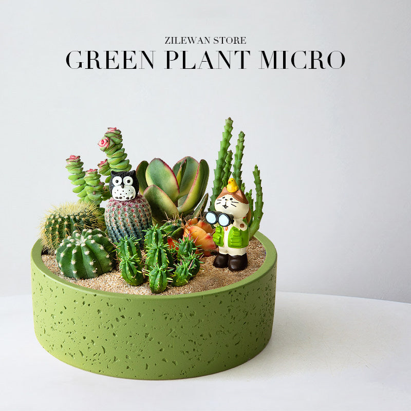 Decorative Cactus Succulent Planter