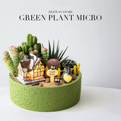 Decorative Cactus Succulent Planter