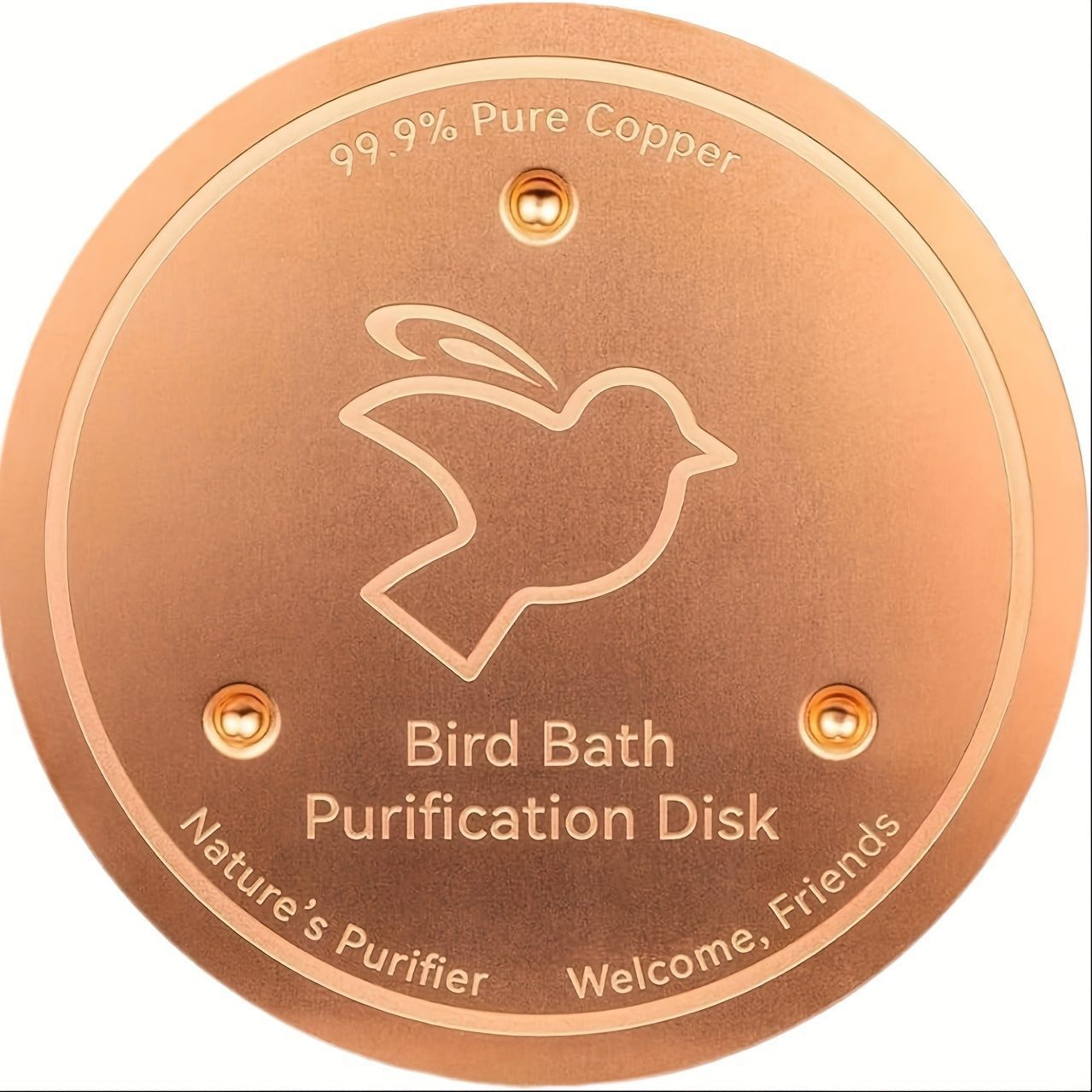 Decorative Copper Bird Bath Disk