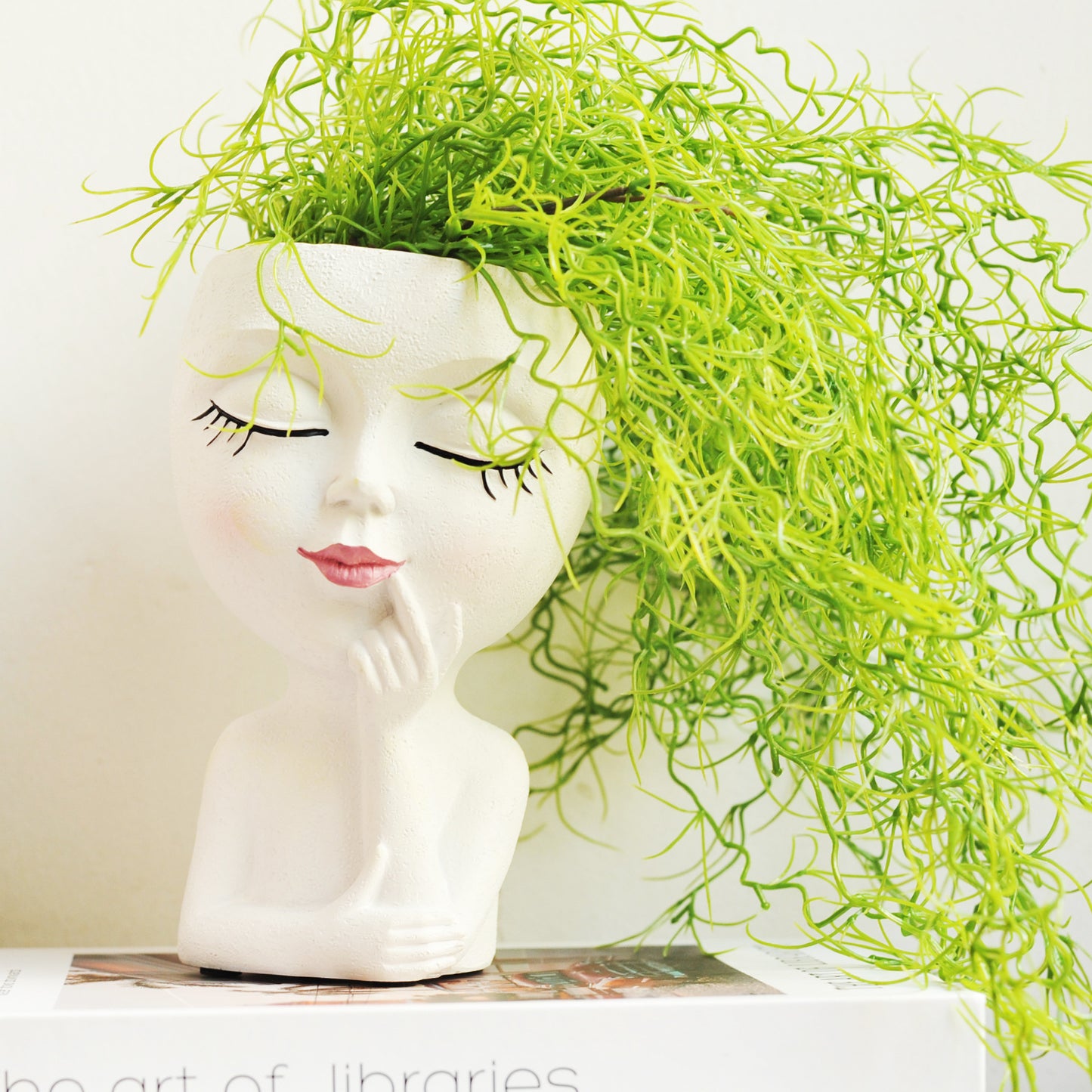 Decorative Face Planter Pot