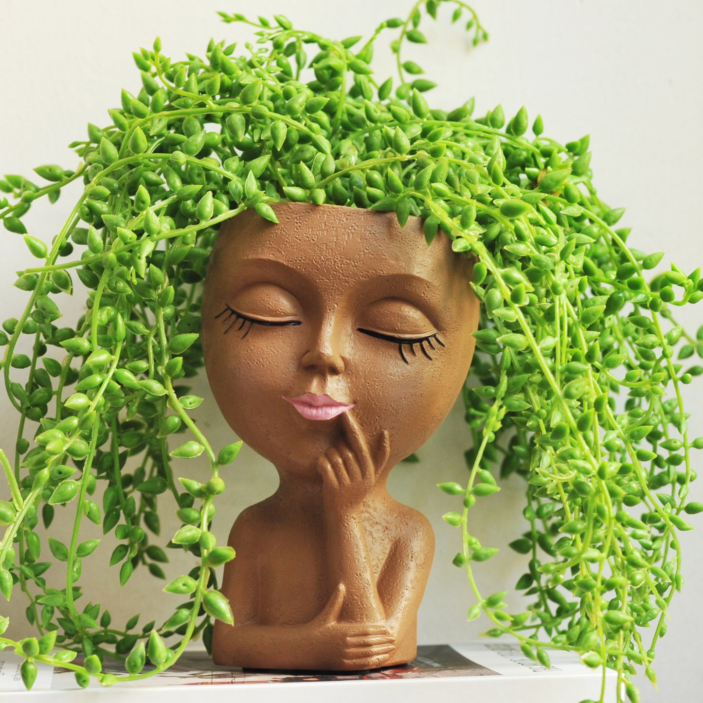 Decorative Face Planter Pot