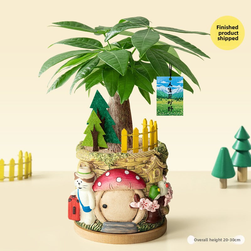Decorative Potted Money Tree Plant