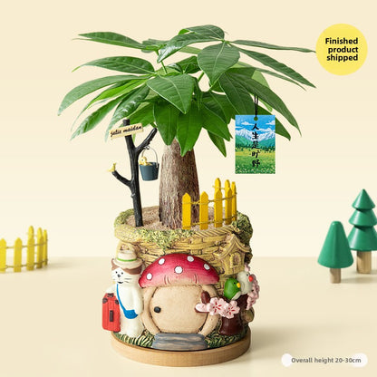 Decorative Potted Money Tree Plant