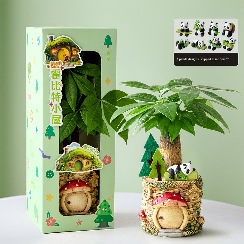 Decorative Potted Money Tree Plant