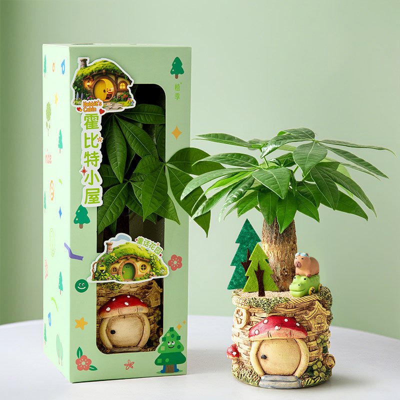 Decorative Potted Money Tree Plant