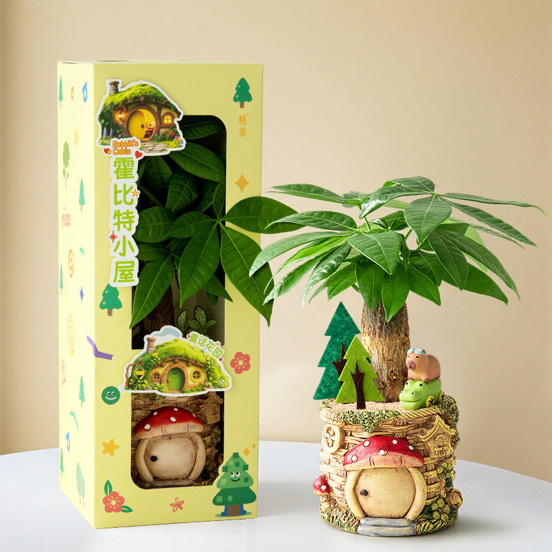 Decorative Potted Money Tree Plant
