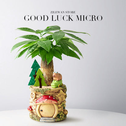 Decorative Potted Money Tree Plant