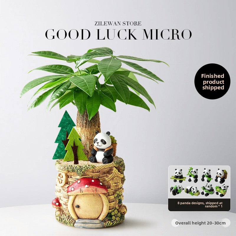 Decorative Potted Money Tree Plant