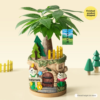 Decorative Potted Money Tree Plant