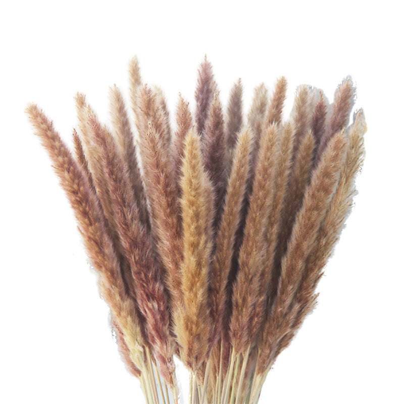 Decorative props for dried flower reeds and large reed bouquets