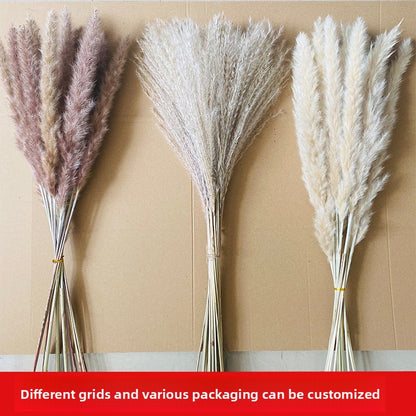 Decorative props for dried flower reeds and large reed bouquets