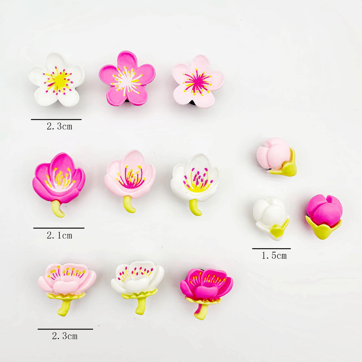Decorative Resin Shoe Buckles