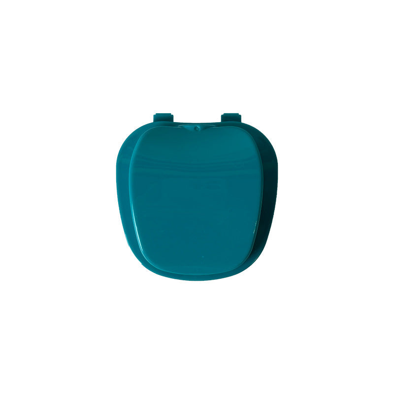 denture storage box