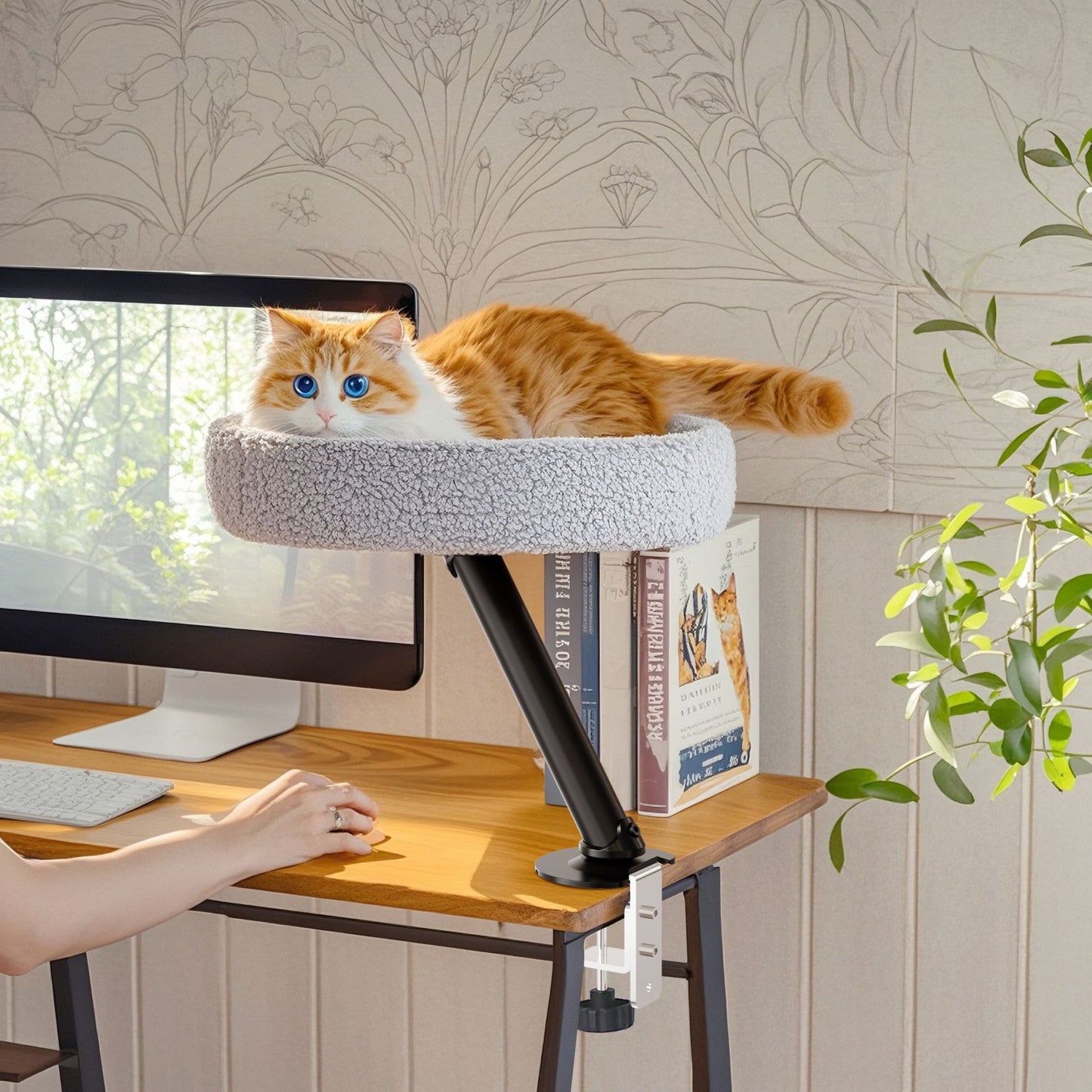 Desk Cat Hammock