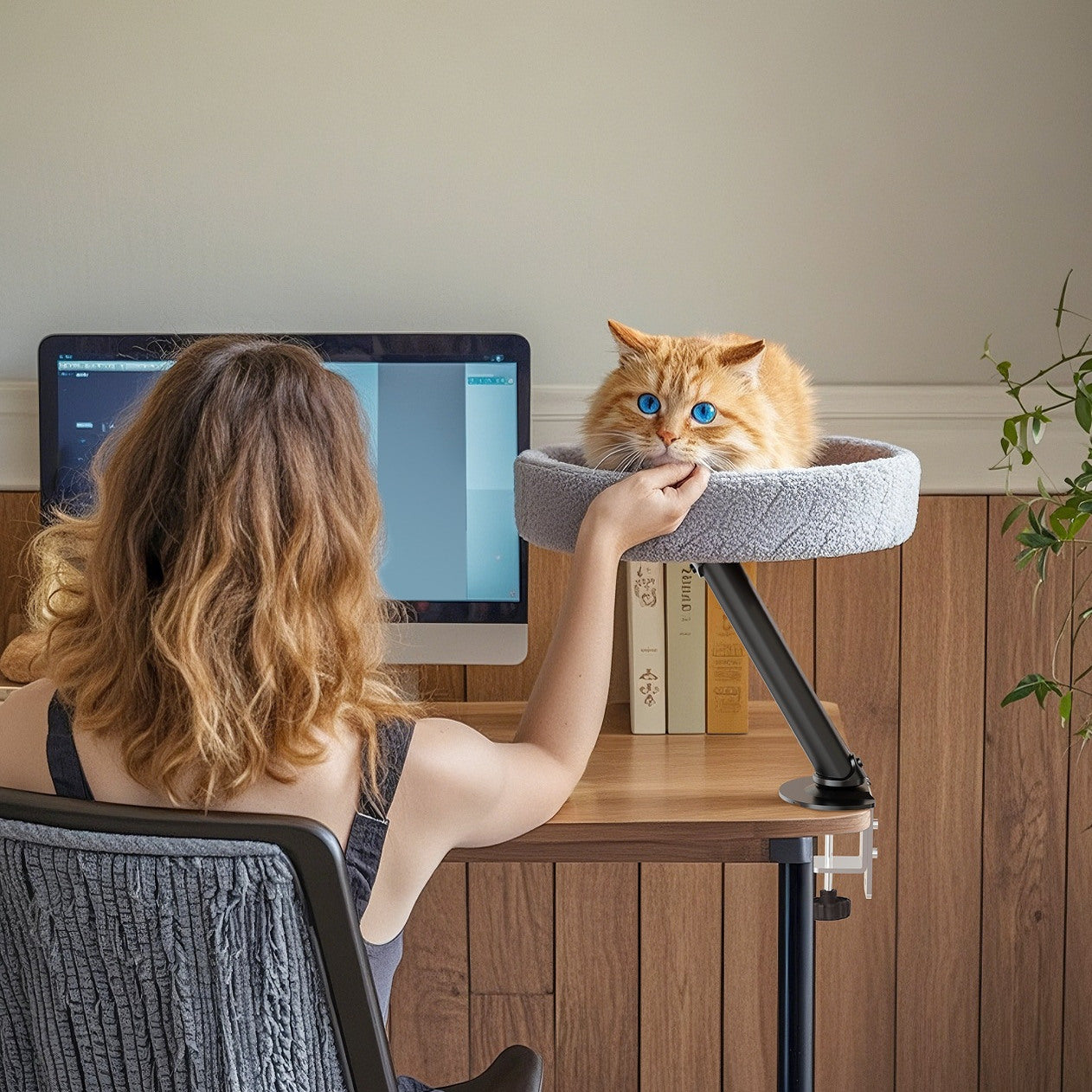 Desk Cat Hammock