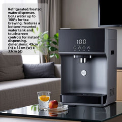 Titanium Gray Instant-heating machine