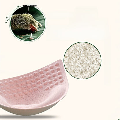 Detachable and replaceable bra pads