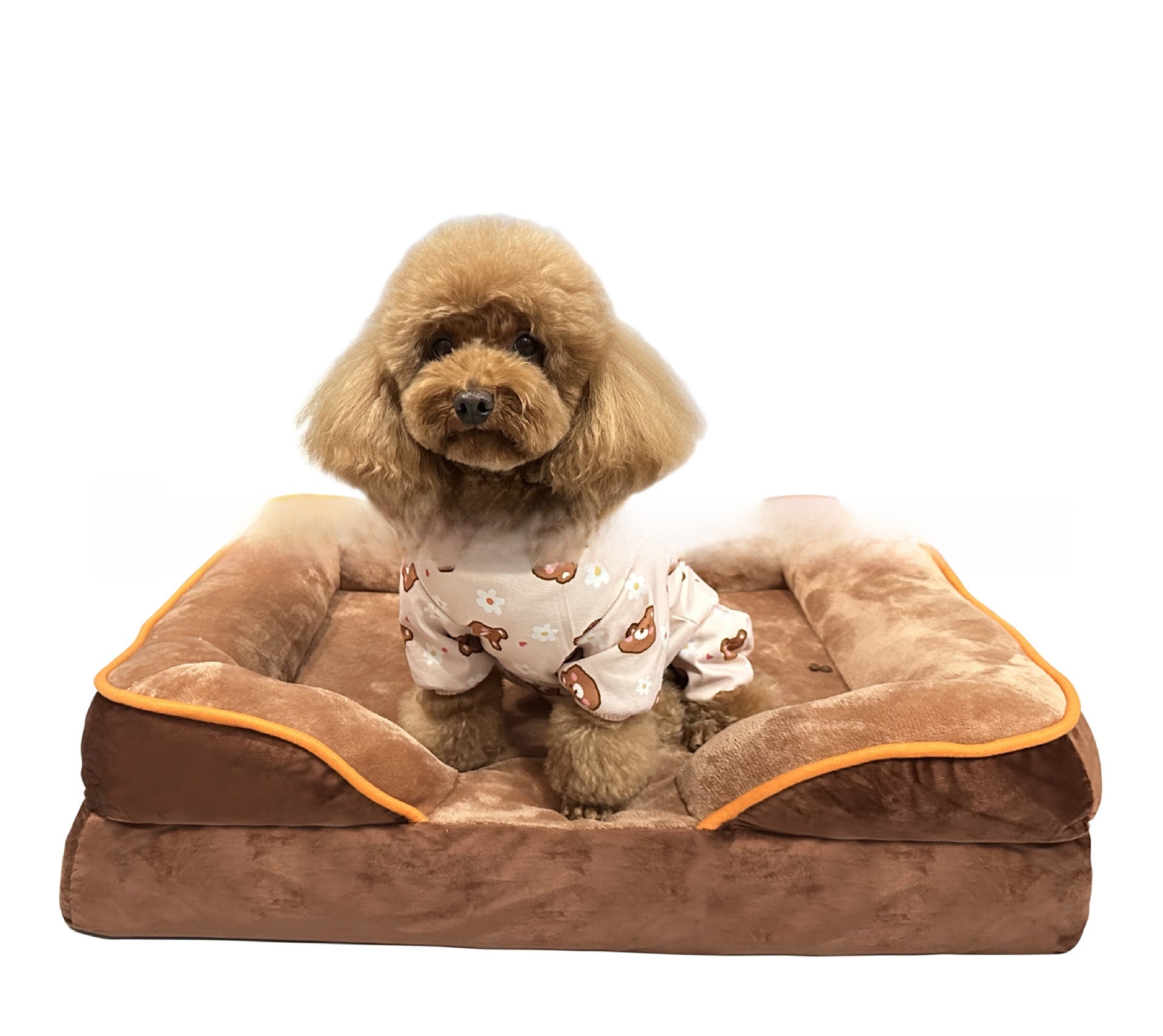 Detachable washable pet bed