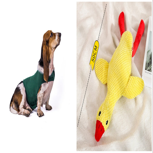Buy Anxiety Jacket Vest for Dogs & Cats | Calming Comfort Wear