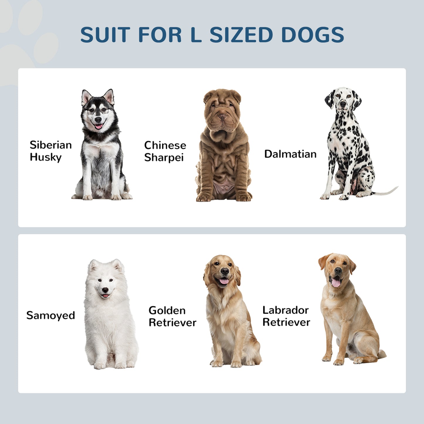 Elevated Dog Feeding Station with Storage – Double Bowl Set