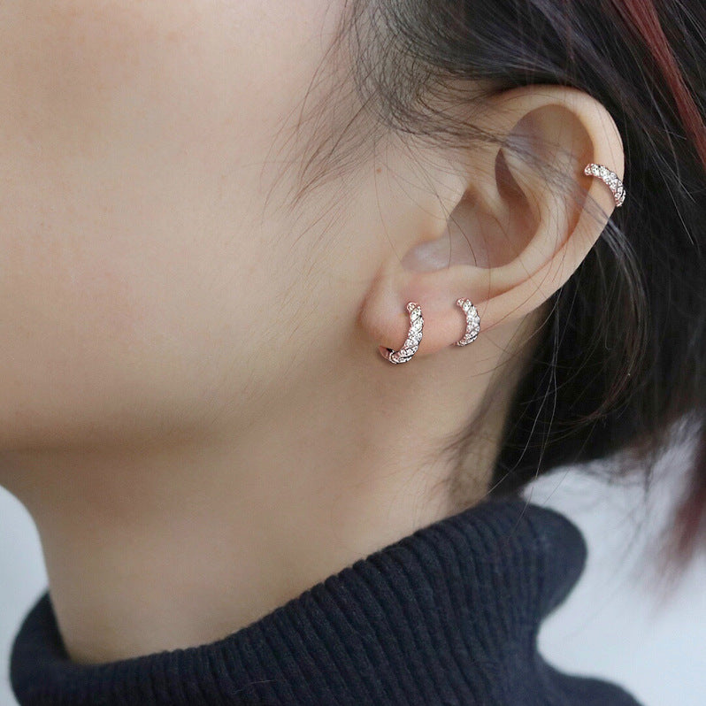 Diamond Sterling Silver Earrings
