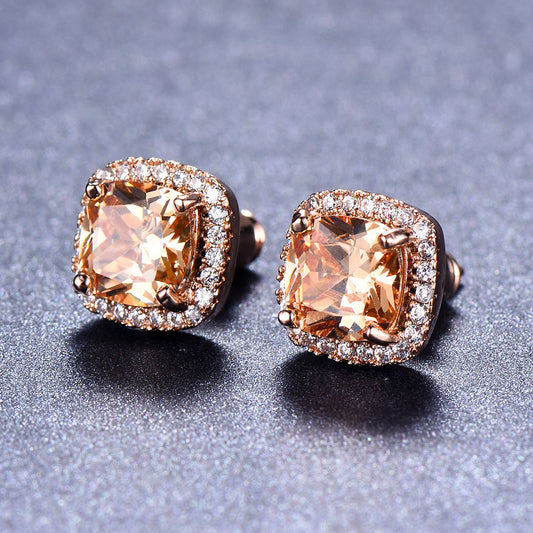 Diamond Zircon Ear Studs